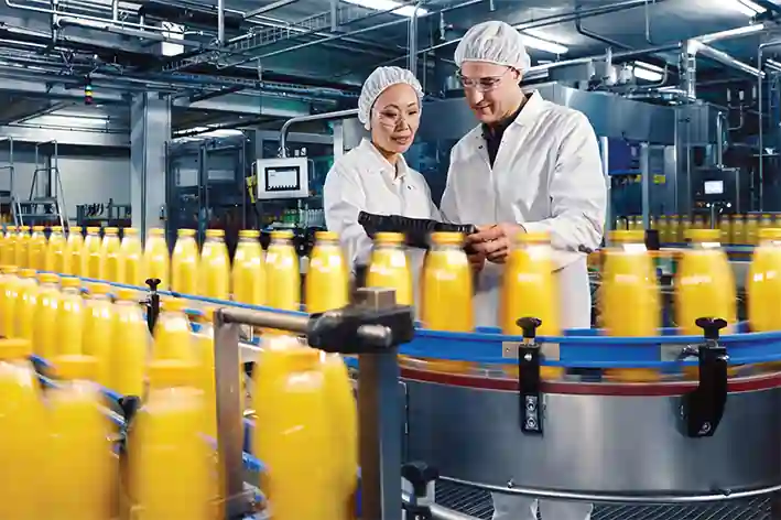 Kiçik və orta istehsalçılar üçün ən gəlirli biznes ideyaları 2025✅ biznes fikirleri